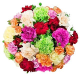 Coloured Carnations Bouquet