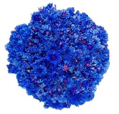 Cornflowers Bouquet