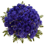 Cornflowers with Greenery Bouquet