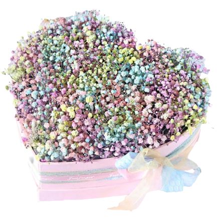 Cute Box of Multicolored Gypsophila