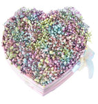 Cute Box of Multicolored Gypsophila