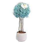 Cute Gypsophila Tree Arrangement