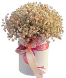 Cute Peach Gypsophila Box