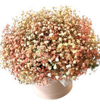 Cute Peach Gypsophila Box