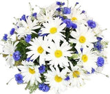 Daisies and Cornflowers Bouquet