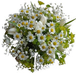 Daisies Tanacetum with White Tulips Bouquet