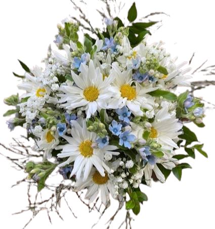 Daisies with Blue Oxypoethalum Bouquet