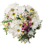 Daisies with Pink Wax Flowers Bouquet