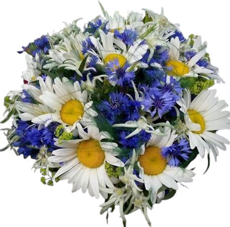 Daisy Marguerite with Cornflowers Bouquet