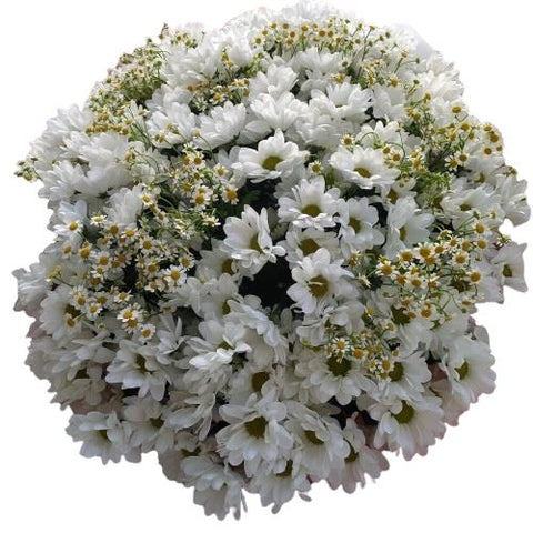 Daisy Tanacetum and White Chrysanthemum Bouquet