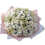 Daisy Tanacetum and White Chrysanthemum Bouquet