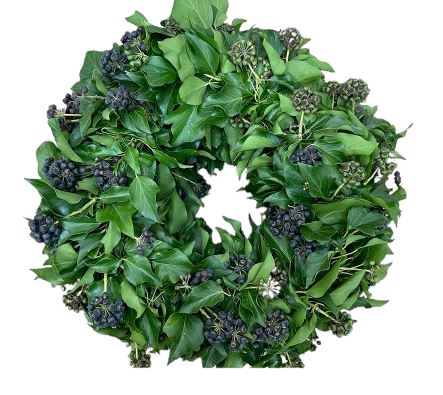 English Ivy Wreath with Berry