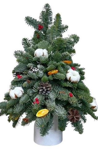 Evergreen Spruce Winter Tree Arrangement: with a Natural Touch