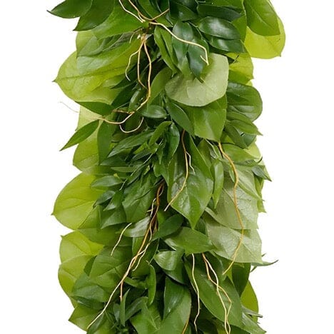 Fresh Foliage and Curly Willow Garland