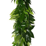 Fresh Green Cocculus and Ruscus Event Garland