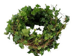 Fresh Green Hedera Wreath