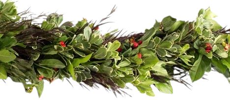 Fresh Mixed Foliage Garland with Red Berry