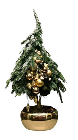 Fresh Spruce Holiday Tree Arrangement: Snow-Kissed with Modern Gold Touches