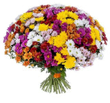 Full of Colour Chrysanthemum Bouquet