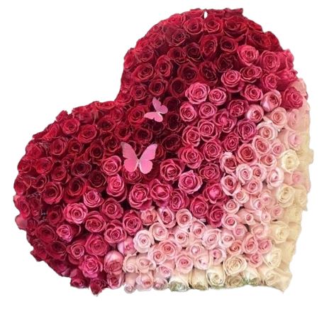 Gradient Roses Luxury Heart with Butterflies