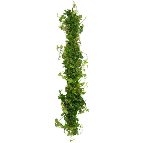 Green Hedera Fresh Event Garland