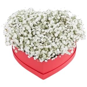 Gypsophila in Heart Box