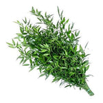 Italian Ruscus - Nature’s Perfect Greenery for Stylish Floral Designs