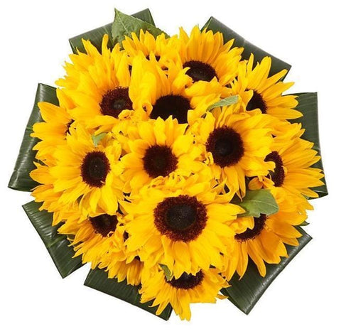 Just Sunflowers Bouquet