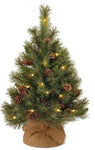 Jute Covering Tree Pinus Pinea "Silver Crest" with Christmas Lights