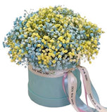 Light Blue and Yellow Baby's Breath Box