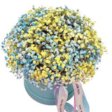 Light Blue and Yellow Baby's Breath Box