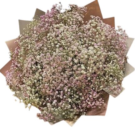 Light Pink and White Gypsophila Bouquet