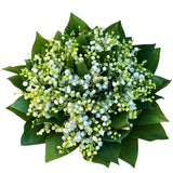 Lily of Valley Bouquet