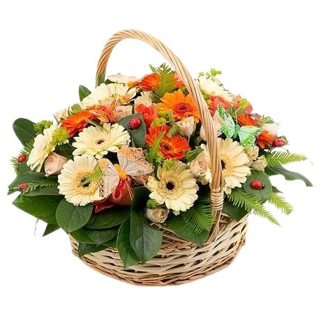 Lovely Basket of Gerberas with Butterflies