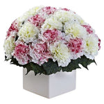 Lovely Box of Carnation