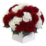 Lovely Box of Carnation