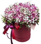 Lovely Box of Pink and White Gypsophila with Greenery