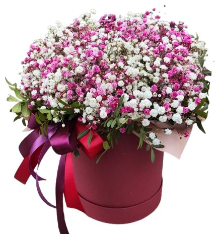 Lovely Box of Pink and White Gypsophila with Greenery