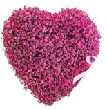 Lovely Gypsophila Heart