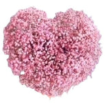 Lovely Gypsophila Heart