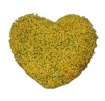 Lovely Gypsophila Heart