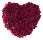 Lovely Gypsophila Heart