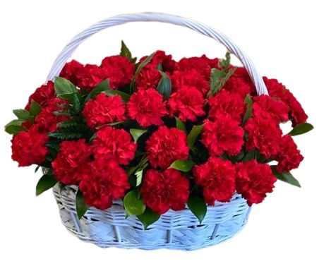 Luxury Basket of Carnations