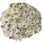 Luxury Bouquet of Hanoi Pale Pink Ranunculus