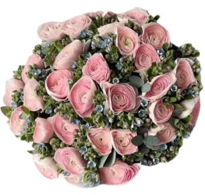 Luxury Bouquet of Pink Ranunculus and Oxypetalum