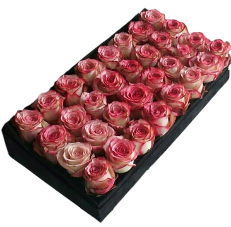 Luxury Box of Red Blush Roses