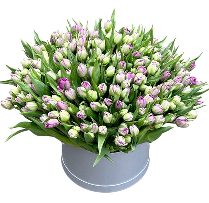 Luxury Double Tulips in a Box