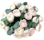 Luxury Light Pink Ranunculus with Eucalyptus Bouquet