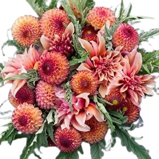 Luxury Orange Dhalia Bouquet