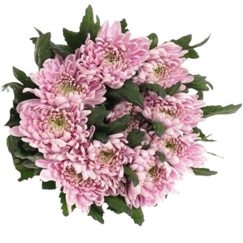 Luxury Pink Rossanno Chrysanthemum Bouquet